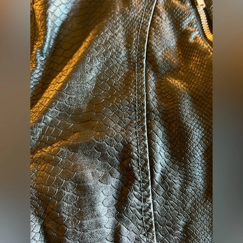 UO Urban Outfitters Alexa Faux Leather Moto Pants Size 6 - Picture 6 of 15